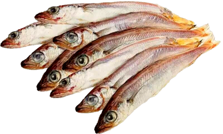 Рыба путассу Северная замороженная неразделанная