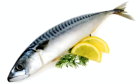 Скумбрия атлантическая неразделанная ~300-600 гр, 1 шт.